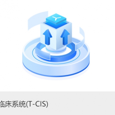 中医临床系统（T-CIS）